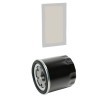 RIDEX PLUS Filtre kiti — Nissan Maxima (3)