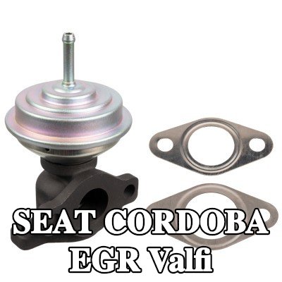 FEBI BILSTEIN Contalı/sızdırmazlık elemanlı EGR valfi — 1995 SEAT Cordoba