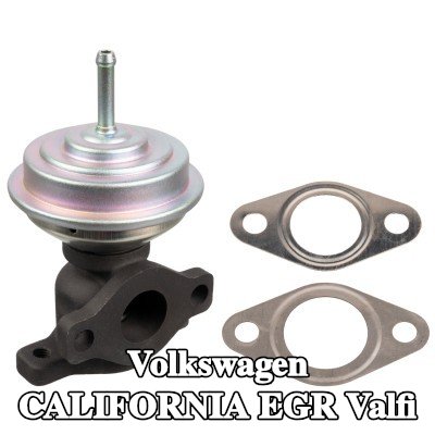 FEBI BILSTEIN Contalı/sızdırmazlık elemanlı EGR valfi — 2000 Volkswagen California