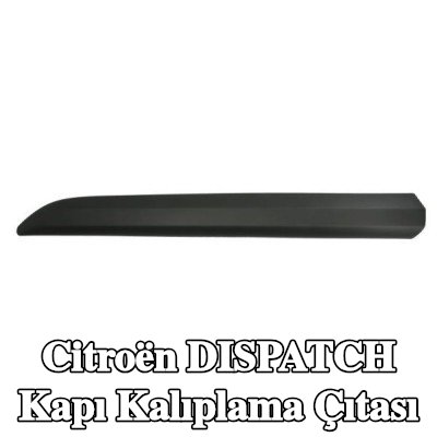 BLIC Kapı kalıplama çıtası — 2008 Citroën Dispatch
