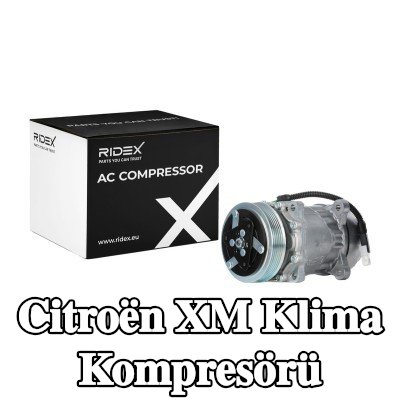 RIDEX PAG kompresör yağı içeren klima kompresörü — 1990 Citroën Xm