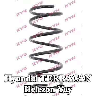 KYB Sarmal yay K-Flex, Arka Aks — Hyundai Terracan