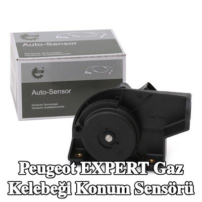 ESEN SKV Gaz kelebeği konum sensörü — Peugeot Expert