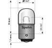 SPAHN GLÜHLAMPEN Plaka ampulü — 1998 Chevrolet Astra (2)