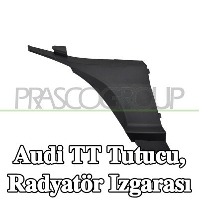 PRASCO Tutucu, radyatör ızgarası — Audi Tt