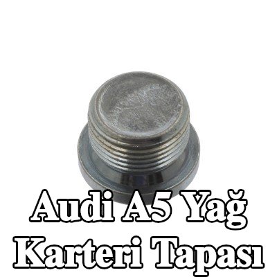 FEBI BILSTEIN Conta halkası olmayan yağ karteri tapası — 2012 Audi A5