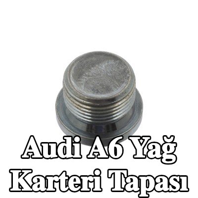 FEBI BILSTEIN Conta halkası olmayan yağ karteri tapası — 2002 Audi A6