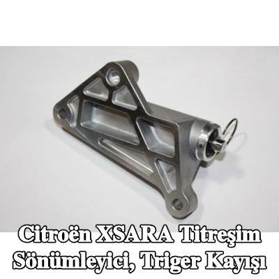AUTOMEGA Titreşim Sönümleyici, triger kayışı — Citroën Xsara