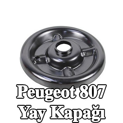 METZGER Ön Aks Sol Yay Kapağı, Ön Aks Sağ, Üst — Peugeot 807
