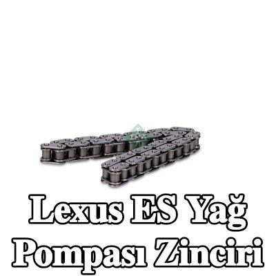 INA Yağ pompası zinciri — Lexus Es