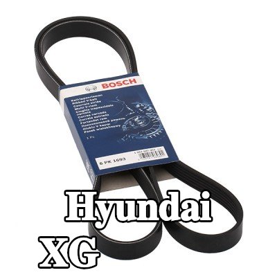 BOSCH حزام سيربنتين 1693mm, Number of ribs: 6 — Hyundai Xg