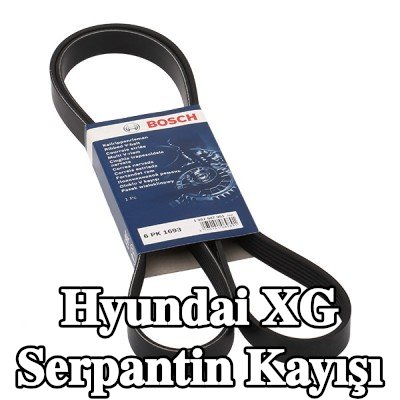 BOSCH Serpantin kayışı 1693mm, Number of ribs: 6 — Hyundai Xg