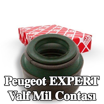 FEBI BILSTEIN Valf mil contası — 2002 Peugeot Expert