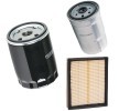 RIDEX Filtre kiti — Land Rover Defender (1)