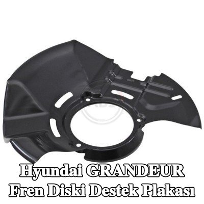 A.B.S. Fren diski destek plakası — Hyundai Grandeur