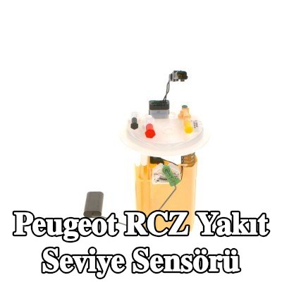 BOSCH Yakıt seviye sensörü montajı — Peugeot Rcz