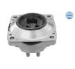 MEYLE Motor yatağı, arka — Mercedes-Benz R-Class (2)