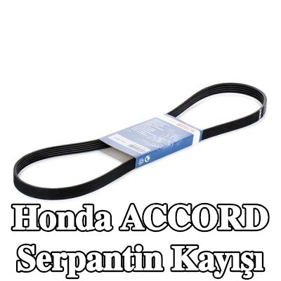 BOSCH Serpantin kayışı 1100mm, Number of ribs: 5 — 1990 Honda Accord