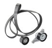 RIDEX PLUS V-Oluklu Kayış Seti — Renault Master (3)