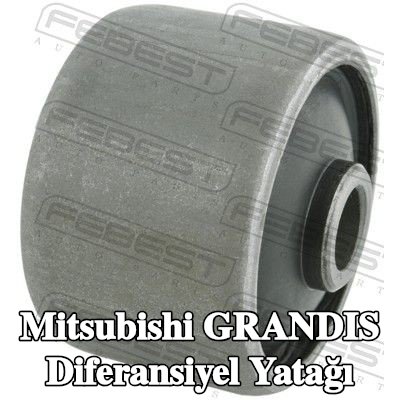 FEBEST Diferansiyel yatağı — Mitsubishi Grandis