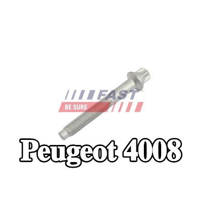FAST برغي مشبك الحاقن — Peugeot 4008