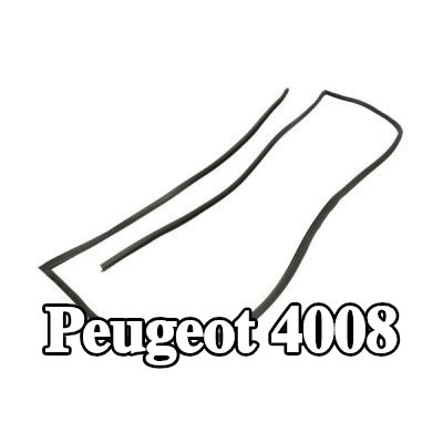BLIC حشية الزجاج الأمامي الأيمن — Peugeot 4008