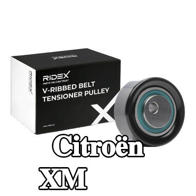 RIDEX بكرة الشد Ø: 70mm — 1990 Citroën Xm