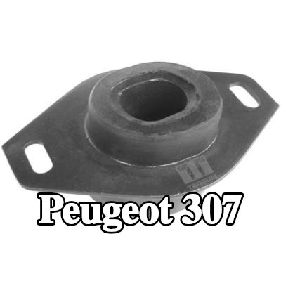TEDGUM تركيب, ناقل الحركة اليدوي المحور الأمامي الأيسر, أمامي أيسر — Peugeot 307