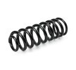 RIDEX Helezon yay Arka Aks — Mercedes-Benz ML-Class (2)