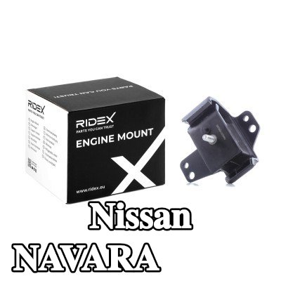 RIDEX حامل المحرك الأمامي الأيمن — 2002 Nissan Navara