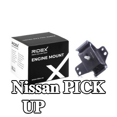 RIDEX حامل المحرك الأمامي الأيمن — Nissan Pick Up