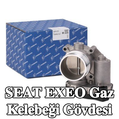 PIERBURG Gaz kelebeği gövdesi Kontrol Ünitesi/Yazılımı eğitilmeli/güncellenmelidir — SEAT Exeo